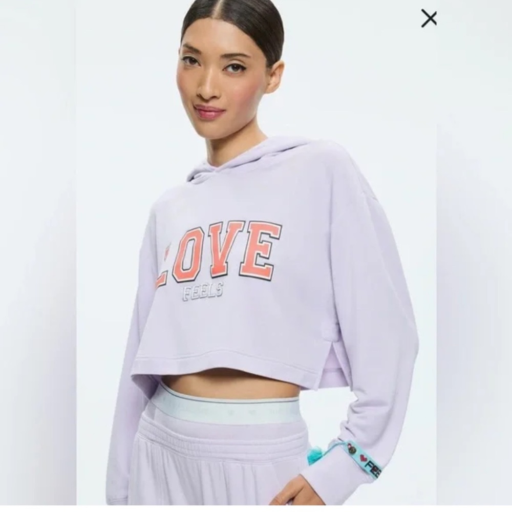 NWT Big Feelings Cropped Hoodie size XL